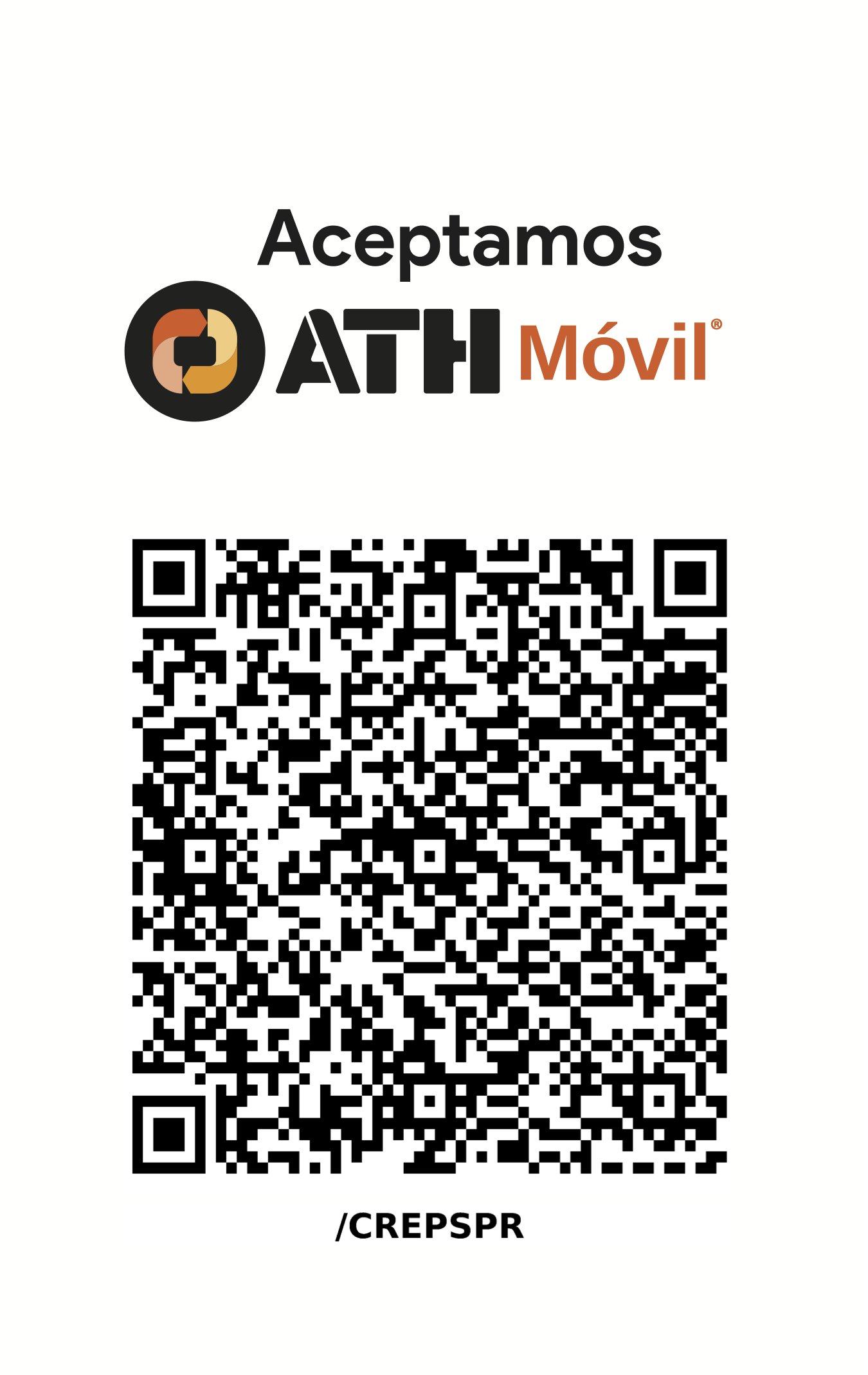 pATH QR Code